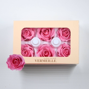 Rose Ines Madeleine Pink