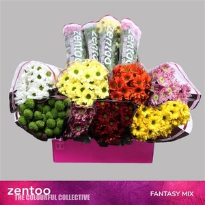 Chr T Mix Fantasy Zentoo