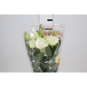 LISIANTHUS BRANCO 070 CM MIN 500 GRAMAS