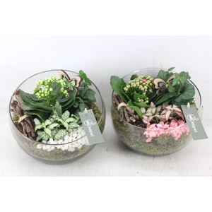 arr2 MB - Halve maan - roze/wit