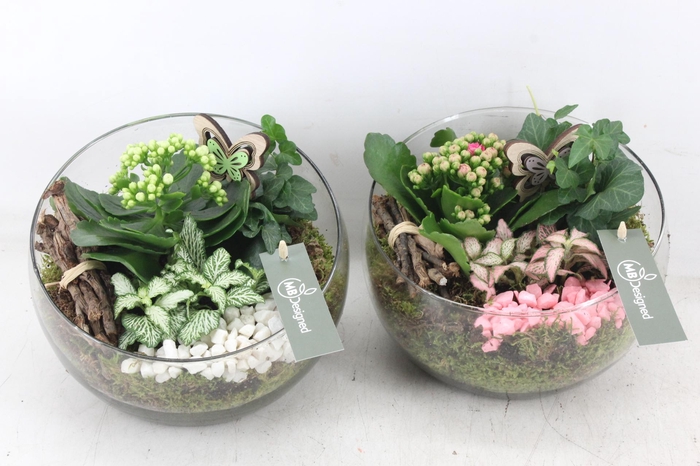 <h4>arr2 MB - Halve maan - roze/wit</h4>