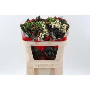 Hyp Mix Spray Romance Latitude