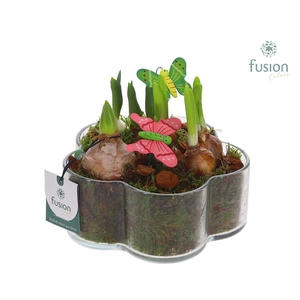 Glazen Bloemschaalmet Mixbol arrangement