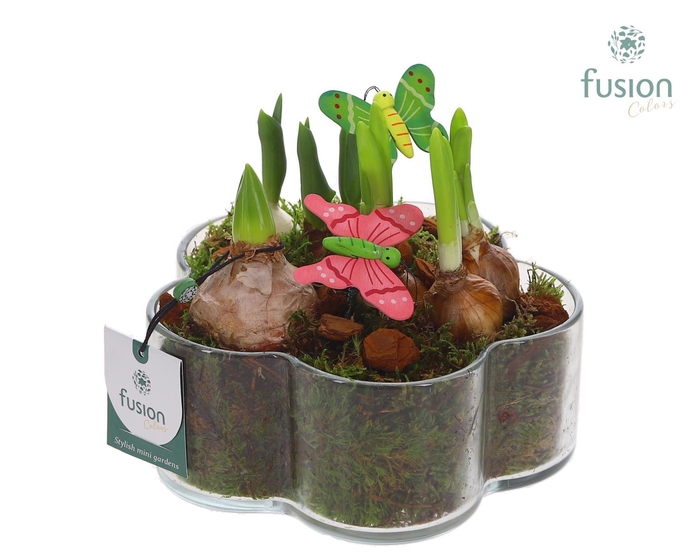 <h4>Glazen Bloemschaalmet Mixbol arrangement</h4>