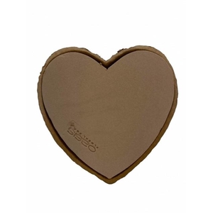 OASIS® BIOLIT® BIO FOAM HEART