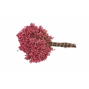 Schinus M Pink Special Pbs