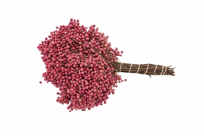 <h4>Schinus M Pink Special Pbs</h4>