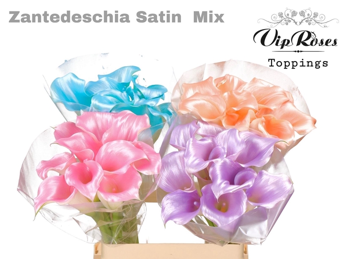 Cala SATIN MIX