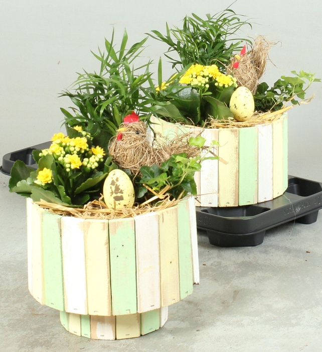 <h4>ARR KAMERPL</h4>