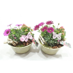 BU104 ZINK BEIGE/GREEN BT