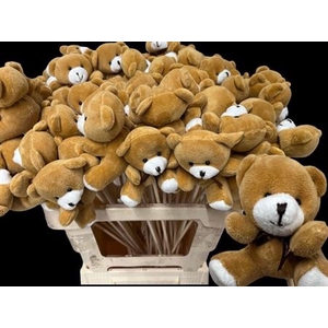 Teddybeer Op Stok