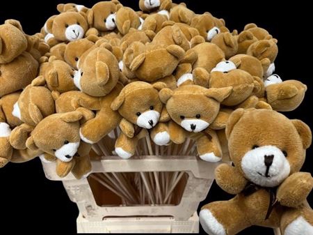 <h4>Teddybeer Op Stok</h4>