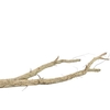 Branch Cork H140