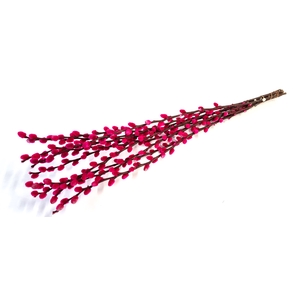 Pussy willow 60cm cerise