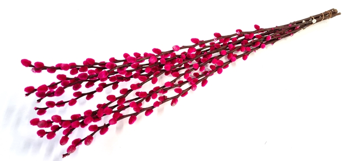 <h4>Pussy willow 60cm cerise</h4>