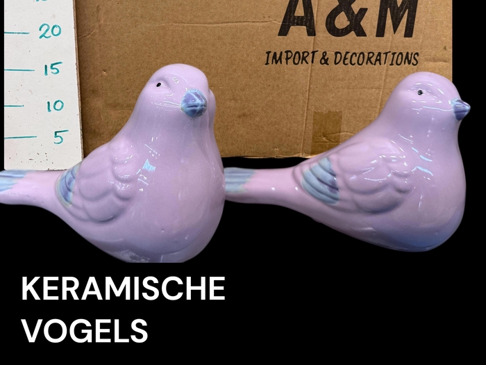 <h4>HUIS EN TUINDECO H%</h4>