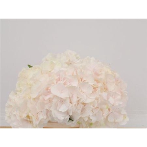 Hydr M Ch Sw Verena 40cm-20