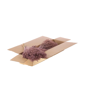Broom Bloom Bunch Sb Lilac Misty
