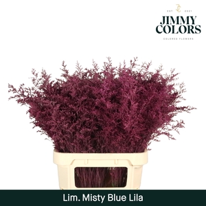 Lim Misty Blue L90 Lila