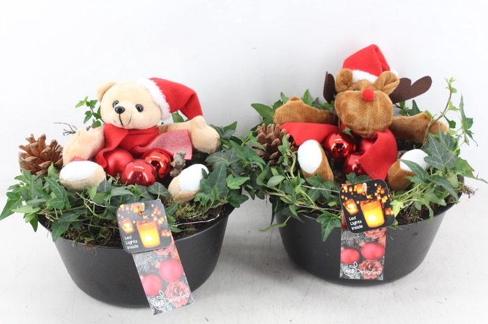 <h4>arr2 MB - Zink black hed. knuffel mix</h4>