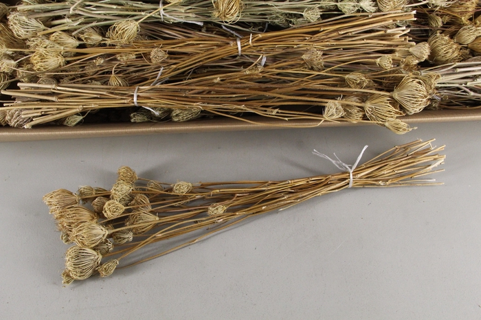 DF Finocchio Natural Bs 110g