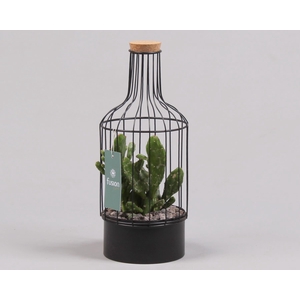 Fles metaal zwart Small met Cactussen