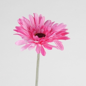AF Gerbera L58cm Beauty