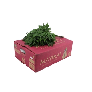 Lederv Small Box WBE