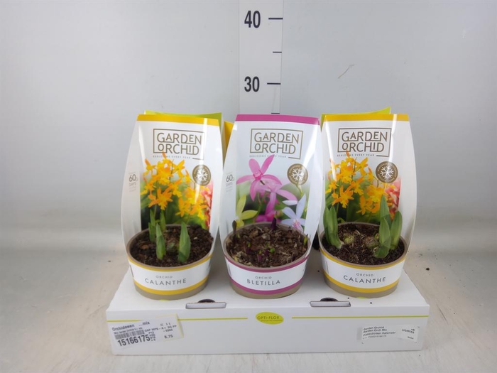 <h4>Orchideeen   ...mix</h4>