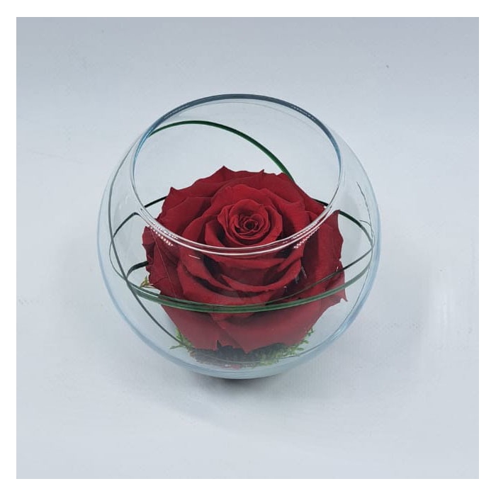 <h4>Bolvaas d12cm rood glas</h4>