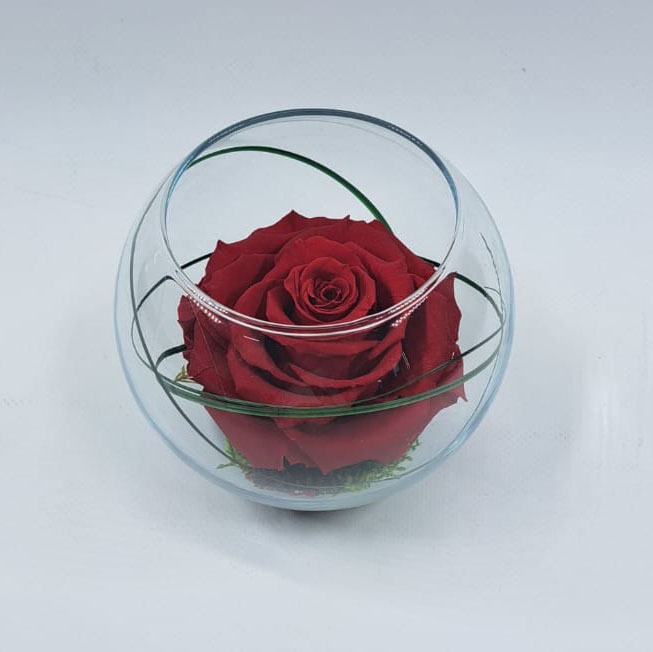 <h4>Bolvaas d12cm rood glas</h4>
