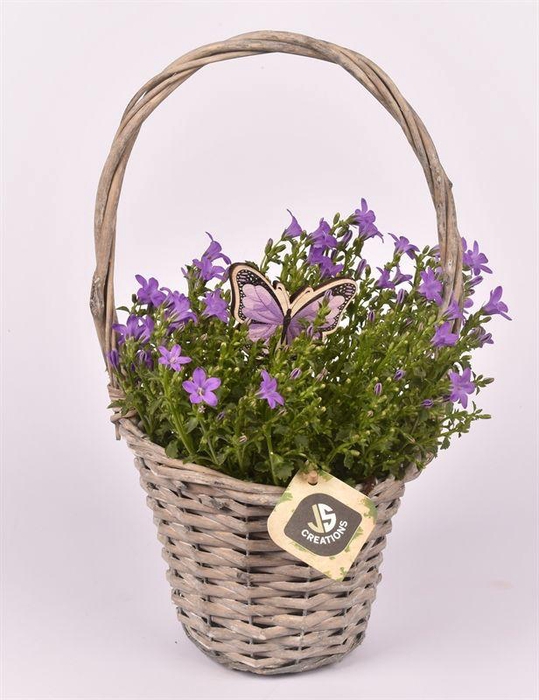 <h4>Wilg hengselmand gy 17cm</h4>