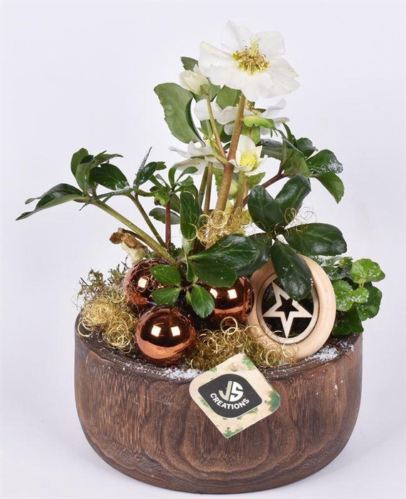 <h4>Hout schaal br. 19cm</h4>