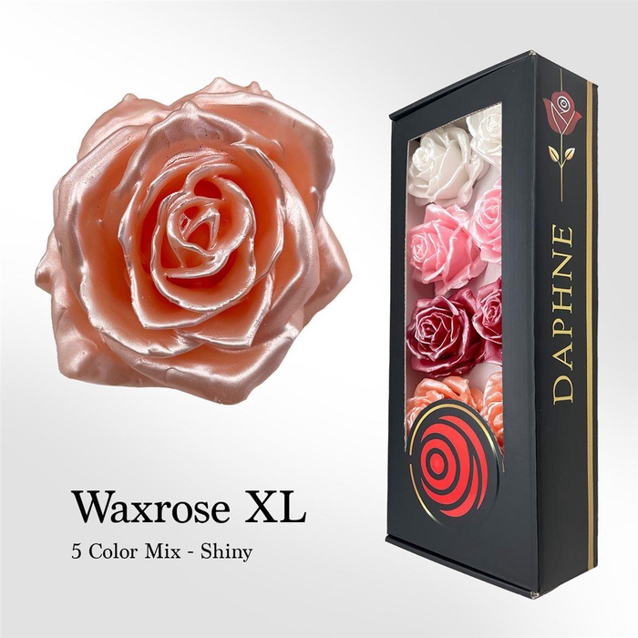 <h4>Wax Rose Xl Shine Color</h4>