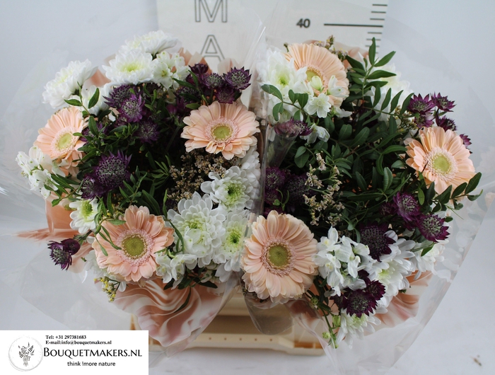 <h4>GEM BOEKET OV</h4>