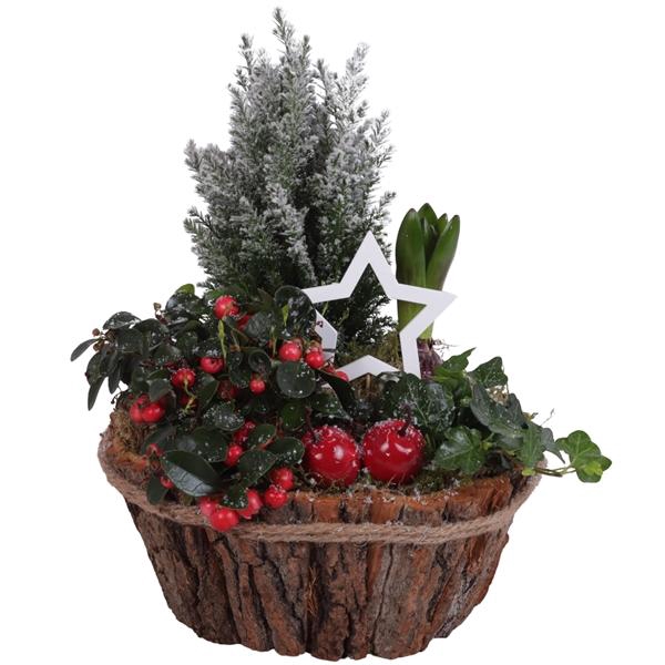 <h4>Winter Arr. Outdoor Wooden Natural Bark Pot Rope Ø24cm 4PP</h4>