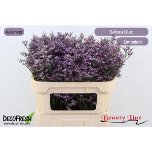 LIM SAF LILAC