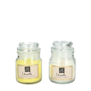 Kaars glas citronella d5.5*8cm