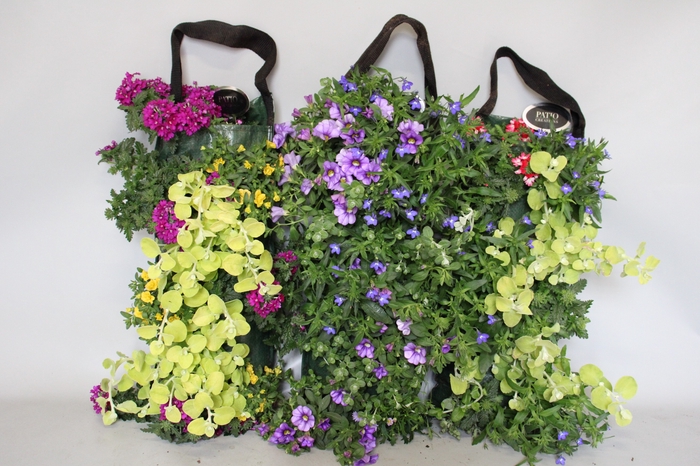 <h4>Wandhangers 1 jarig Perkgoedmix diverse mixen</h4>