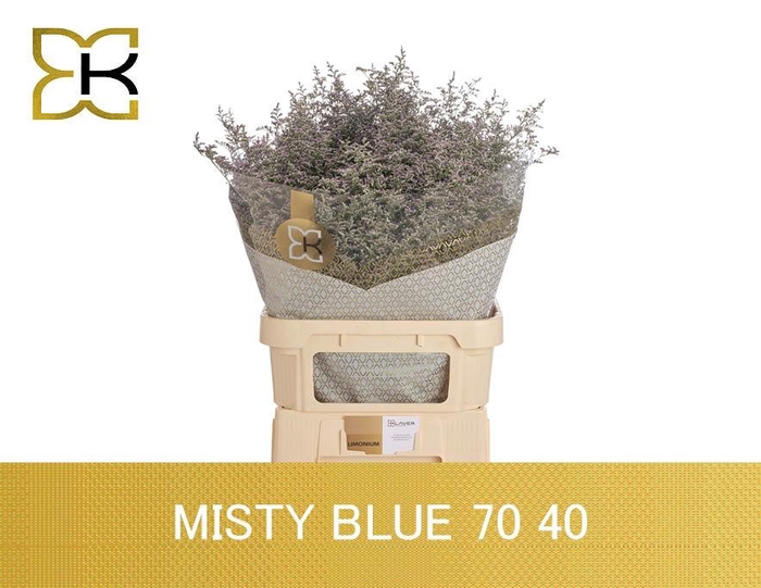 <h4>LIM MISTY BLUE</h4>