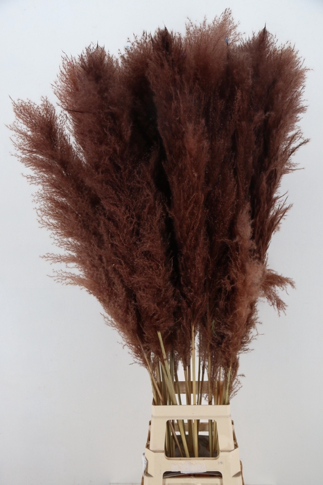 <h4>DROOGBL BEWERKT H%</h4>