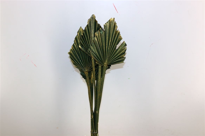 Dried Palm Spear 10pc Olive Gold Bunch