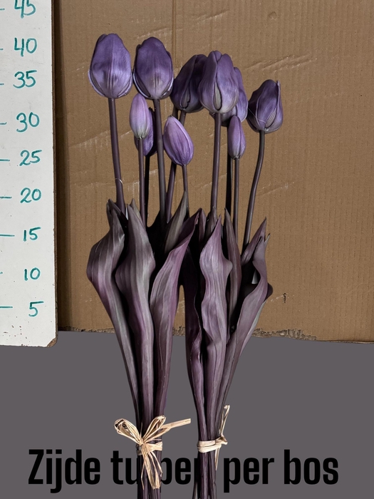 <h4>HUIS EN TUINDECO H%</h4>