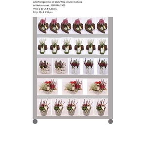 Mix CC Allerheiligen