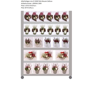 Mix CC Allerheiligen