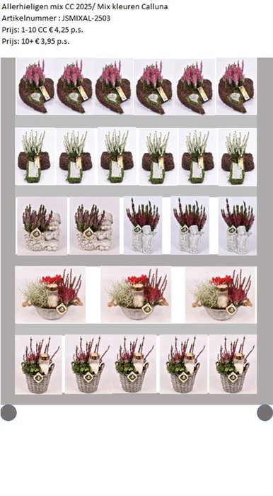 <h4>Mix CC Allerheiligen</h4>