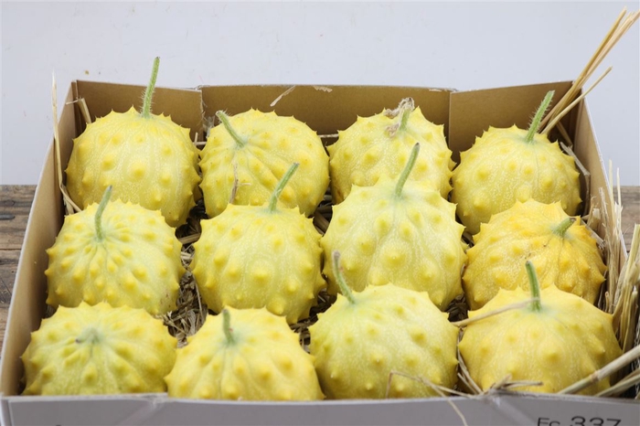 <h4>Sier Cuc Kiwano Rond Hol P Box</h4>