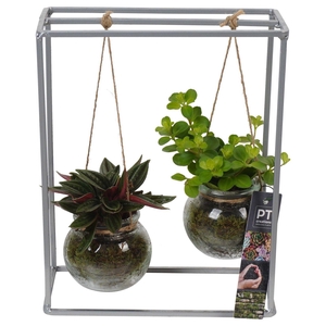 PTGIG2127 Arrangement Greens in glass in glazen bol met metalen rek