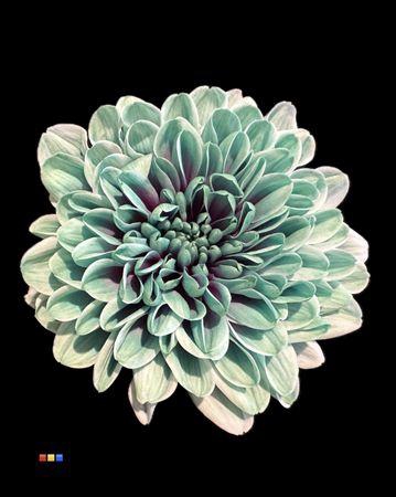 <h4>Chr T Altaj Ibiza</h4>