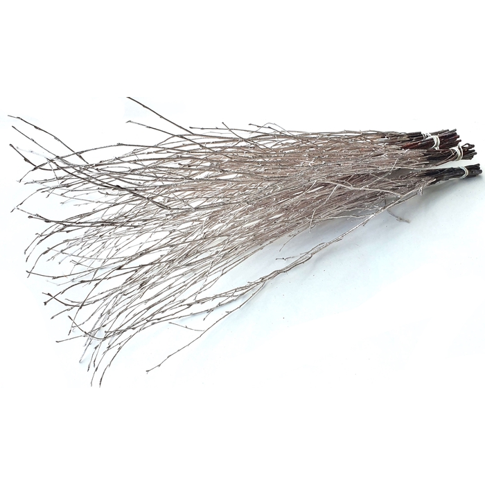 <h4>Birch 70cm 10stems per bunch Champagne</h4>